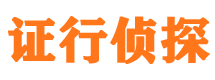 东丰市调查公司